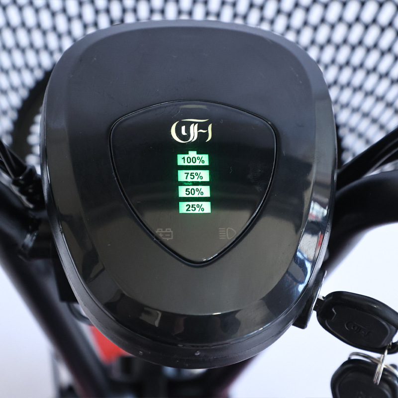 Nouveau Tricycle adulte voyage - Folding Electric Scooter avis et prix